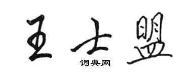 駱恆光王士盟行書個性簽名怎么寫