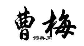 胡問遂曹梅行書個性簽名怎么寫