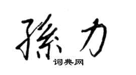 王正良孫力行書個性簽名怎么寫