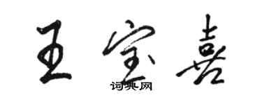 駱恆光王寶喜行書個性簽名怎么寫