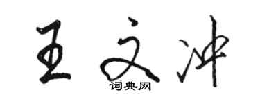 駱恆光王文沖行書個性簽名怎么寫