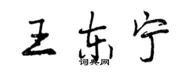 曾慶福王東寧行書個性簽名怎么寫