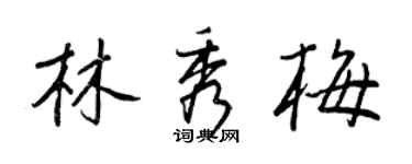 王正良林秀梅行書個性簽名怎么寫