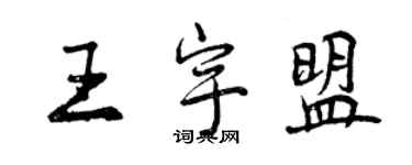 曾慶福王宇盟行書個性簽名怎么寫