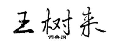曾慶福王樹來行書個性簽名怎么寫