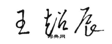 駱恆光王超辰草書個性簽名怎么寫