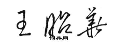 駱恆光王昭華草書個性簽名怎么寫