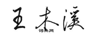 駱恆光王木溪行書個性簽名怎么寫