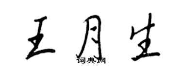 王正良王月生行書個性簽名怎么寫