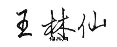 駱恆光王林仙行書個性簽名怎么寫