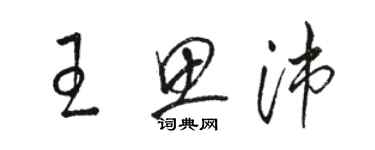 駱恆光王思沛草書個性簽名怎么寫