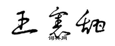 曾慶福王憲甜草書個性簽名怎么寫