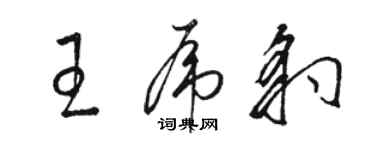 駱恆光王虎豹草書個性簽名怎么寫