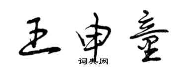 曾慶福王申童草書個性簽名怎么寫