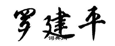 胡問遂羅建平行書個性簽名怎么寫