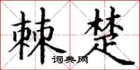 丁謙棘楚楷書怎么寫