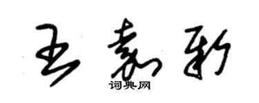 朱錫榮王嘉新草書個性簽名怎么寫