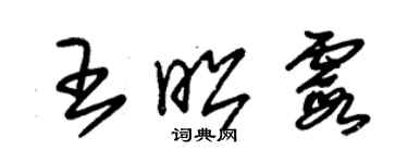 朱錫榮王昭霞草書個性簽名怎么寫