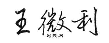 駱恆光王微利行書個性簽名怎么寫