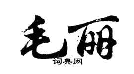 胡問遂毛麗行書個性簽名怎么寫