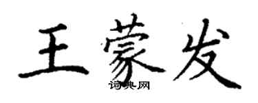 丁謙王蒙發楷書個性簽名怎么寫