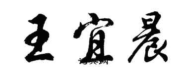 胡問遂王宜晨行書個性簽名怎么寫