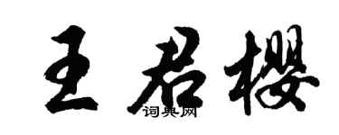 胡問遂王君櫻行書個性簽名怎么寫