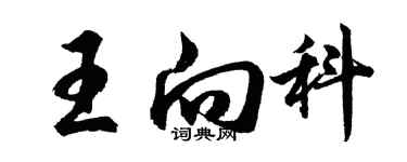 胡問遂王向科行書個性簽名怎么寫