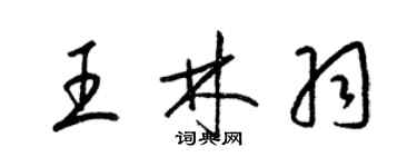 梁錦英王林羽草書個性簽名怎么寫