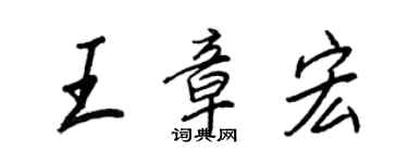 王正良王章宏行書個性簽名怎么寫