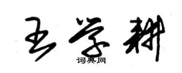 朱錫榮王學耕草書個性簽名怎么寫