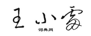 駱恆光王小雷草書個性簽名怎么寫