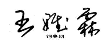 朱錫榮王雅霖草書個性簽名怎么寫