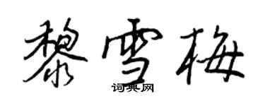 王正良黎雪梅行書個性簽名怎么寫