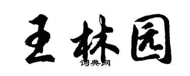 胡問遂王林園行書個性簽名怎么寫