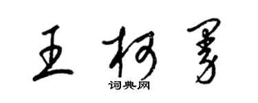 梁錦英王柯曼草書個性簽名怎么寫