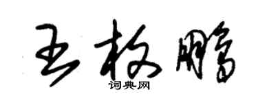 朱錫榮王枚鵬草書個性簽名怎么寫