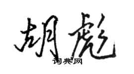 駱恆光胡彪行書個性簽名怎么寫
