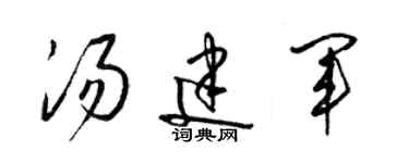 梁錦英湯建軍草書個性簽名怎么寫