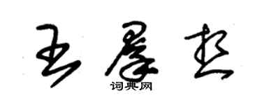朱錫榮王群想草書個性簽名怎么寫