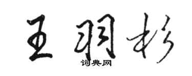 駱恆光王羽杉行書個性簽名怎么寫