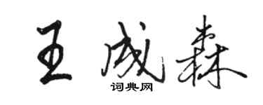 駱恆光王成森行書個性簽名怎么寫