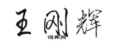 駱恆光王剛輝行書個性簽名怎么寫