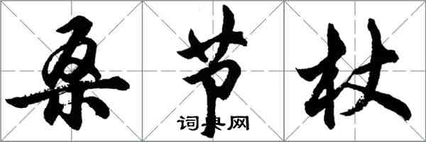 胡問遂桑節杖行書怎么寫