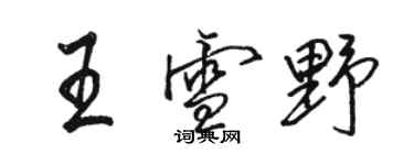 駱恆光王雪野行書個性簽名怎么寫