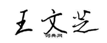 王正良王文芝行書個性簽名怎么寫