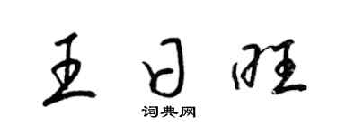 梁錦英王日旺草書個性簽名怎么寫