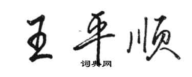 駱恆光王平順行書個性簽名怎么寫