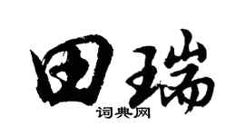 胡問遂田瑞行書個性簽名怎么寫
