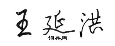 駱恆光王延洪行書個性簽名怎么寫